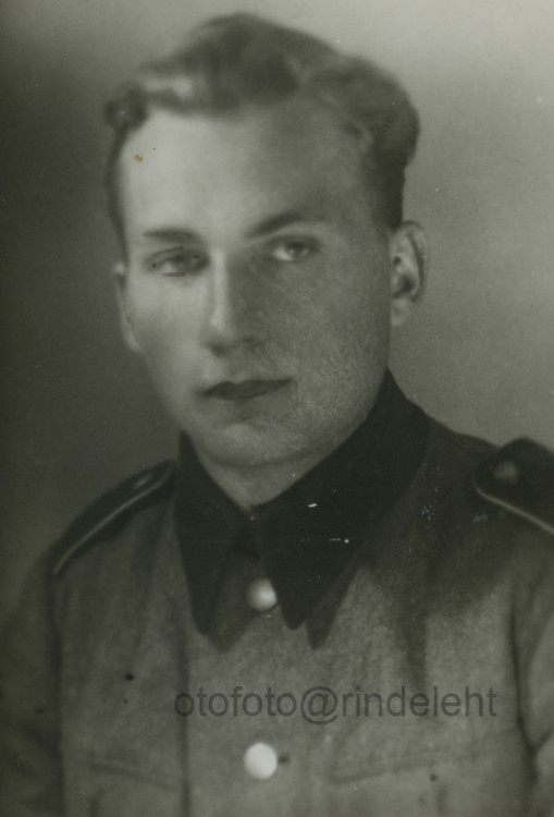 otofoto_f4031.jpg