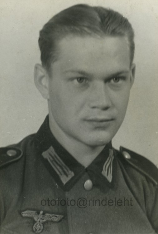 otofoto_f4033.jpg