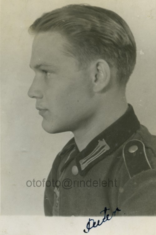 otofoto_f4034.jpg