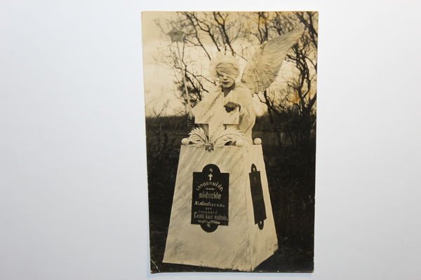 1_1_31082566[1].jpg