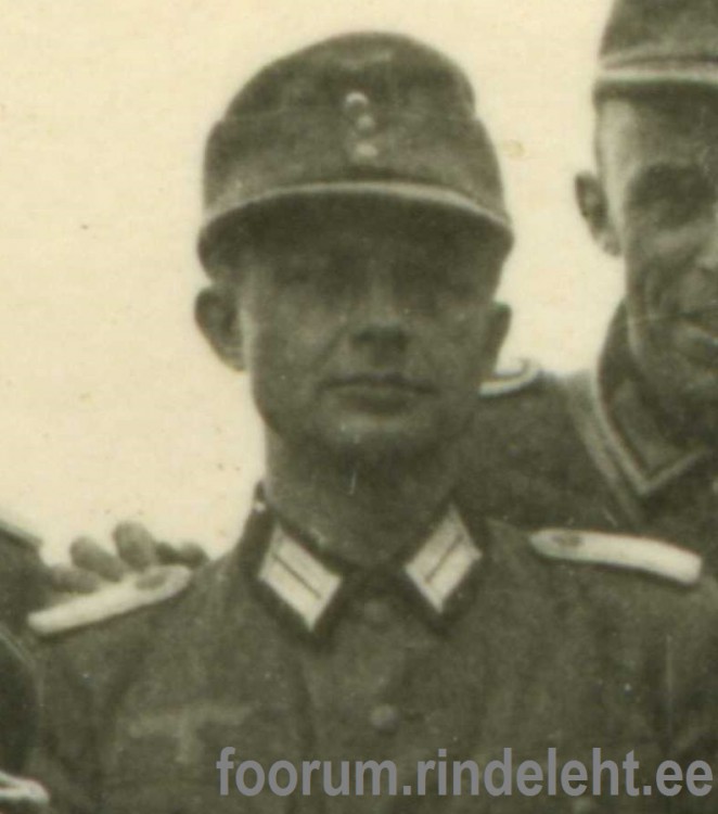 2f.jpg