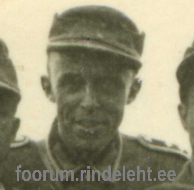 3f.jpg