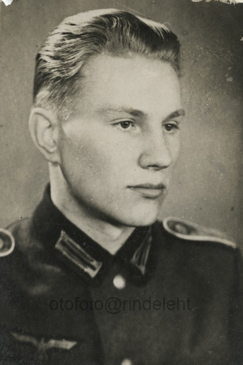 otofoto_f4118.jpg