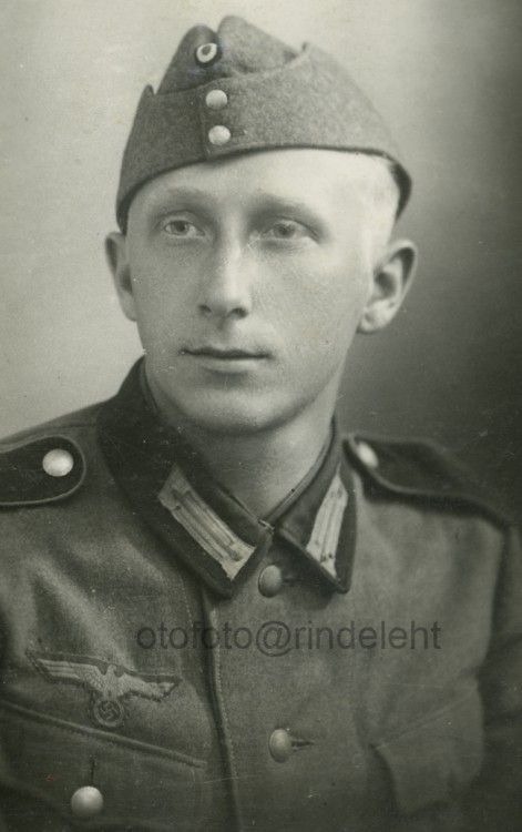 otofoto_f4136.jpg