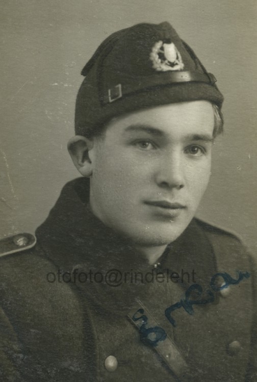 otofoto_f4137.jpg
