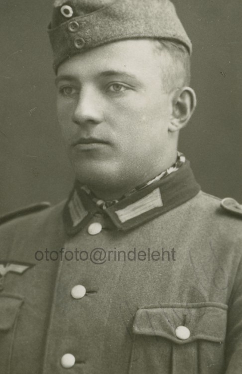 otofoto_f4161.jpg