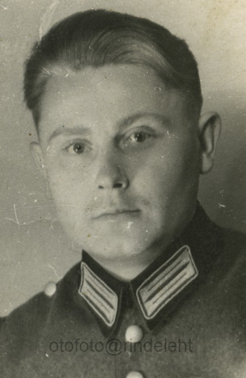 otofoto_f4167.jpg