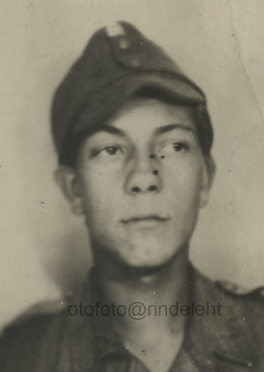otofoto_f4168.jpg