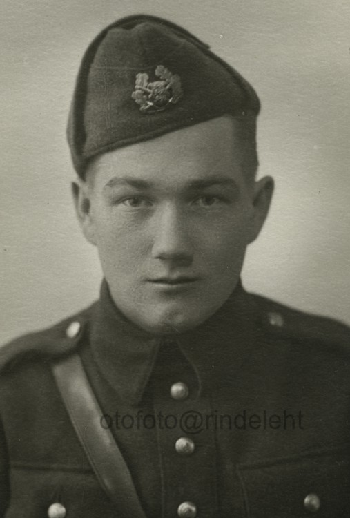 otofoto_f4176.jpg