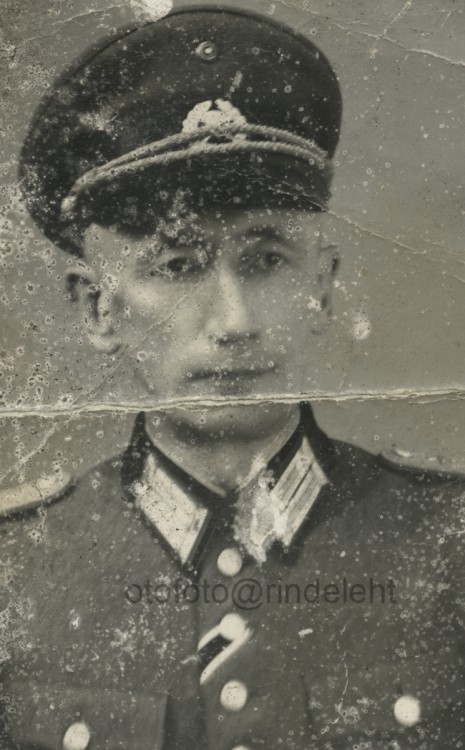 otofoto_f4177.jpg