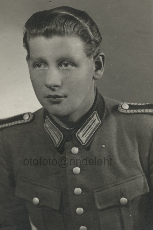 otofoto_f4182.jpg