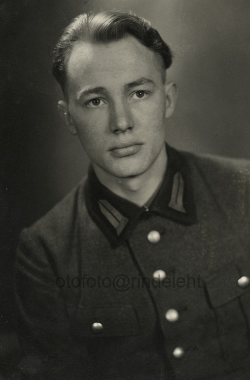 otofoto_f4253.jpg