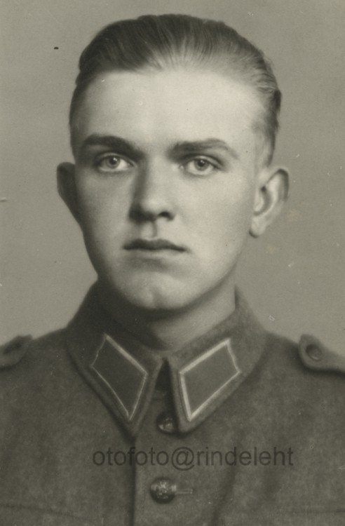 otofoto_f4273.jpg
