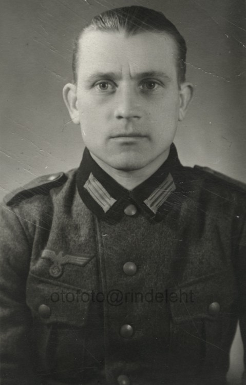 otofoto_f4293.jpg