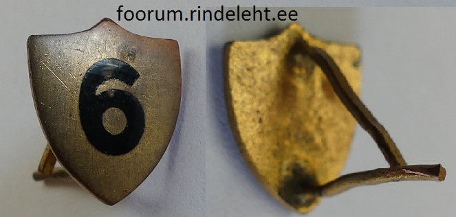 6c.jpg