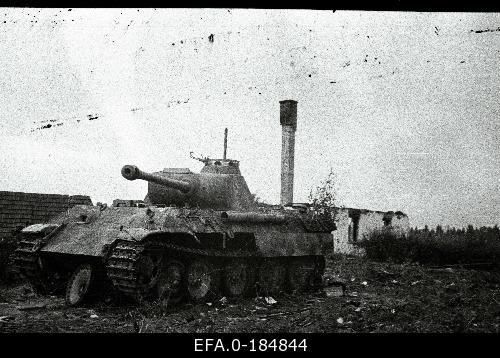 elva8.jpg