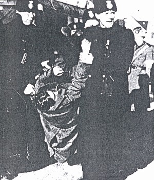 Bild 11.jpg