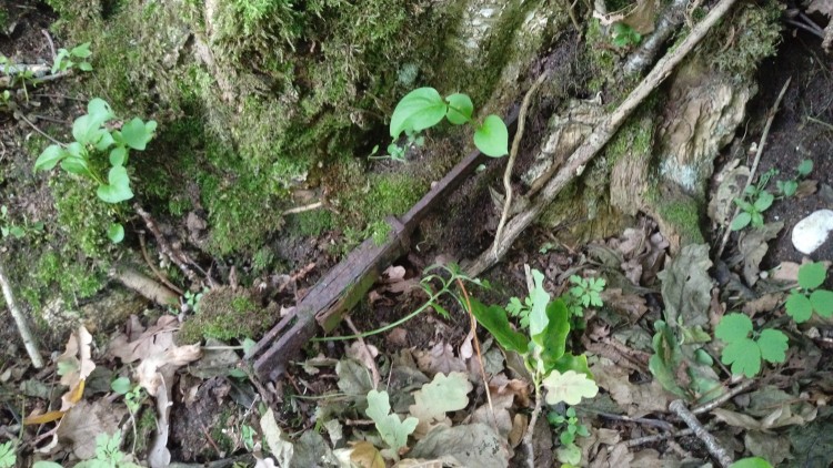IMAG0208.jpg