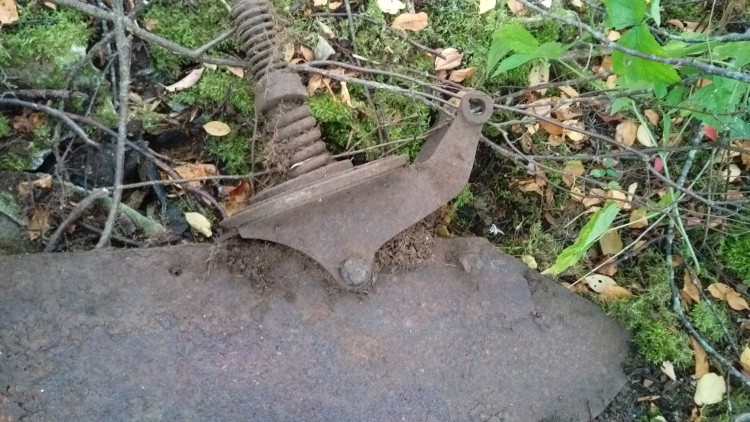IMAG0216.jpg