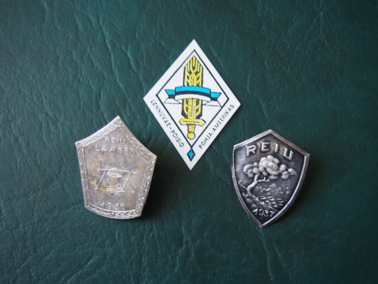 PB060243.JPG