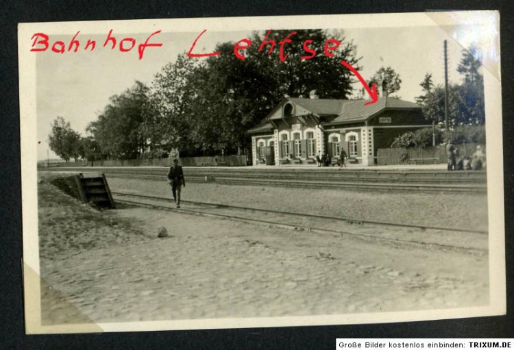 talllehtse1.jpg