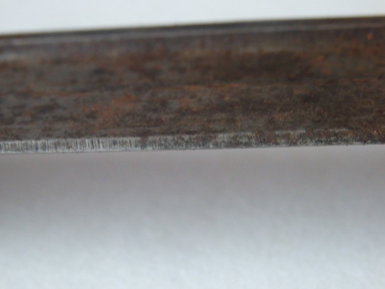 P9190194.JPG