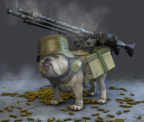 valvekoer.jpg
