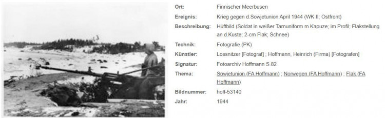 Lossnitzer 03.jpg
