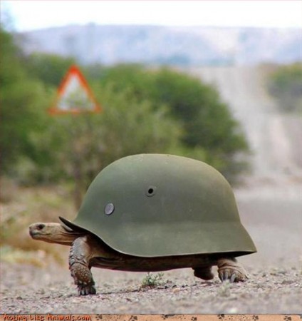 mil.jpg