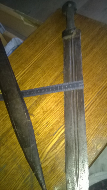 WP_20220523_017.jpg
