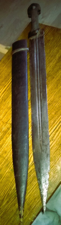 WP_20220524_009.jpg