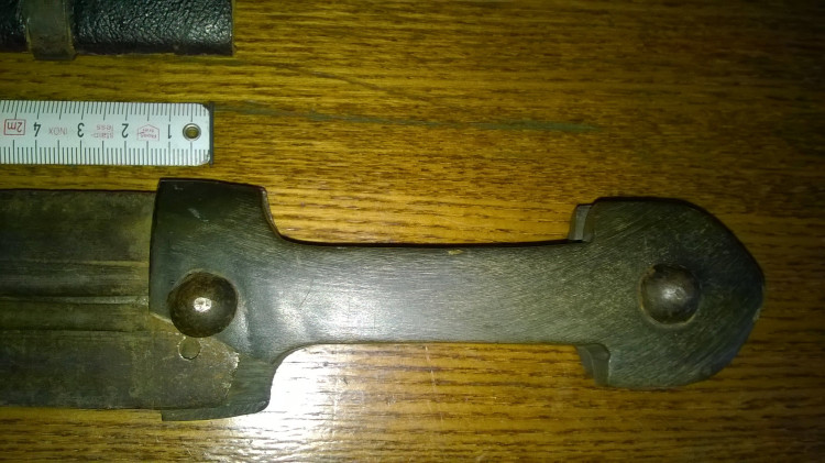WP_20220524_003.jpg