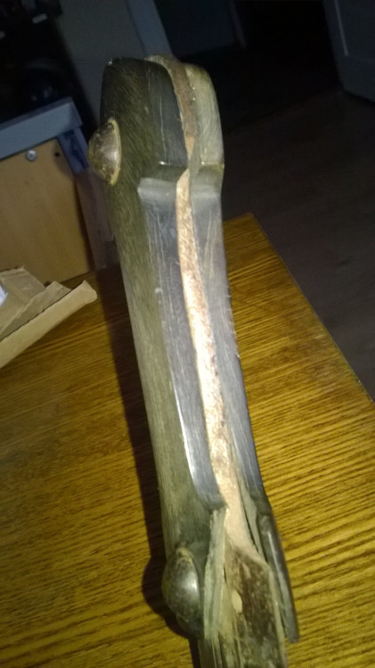 WP_20220524_013.jpg