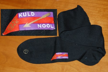 Kuldnool.jpg