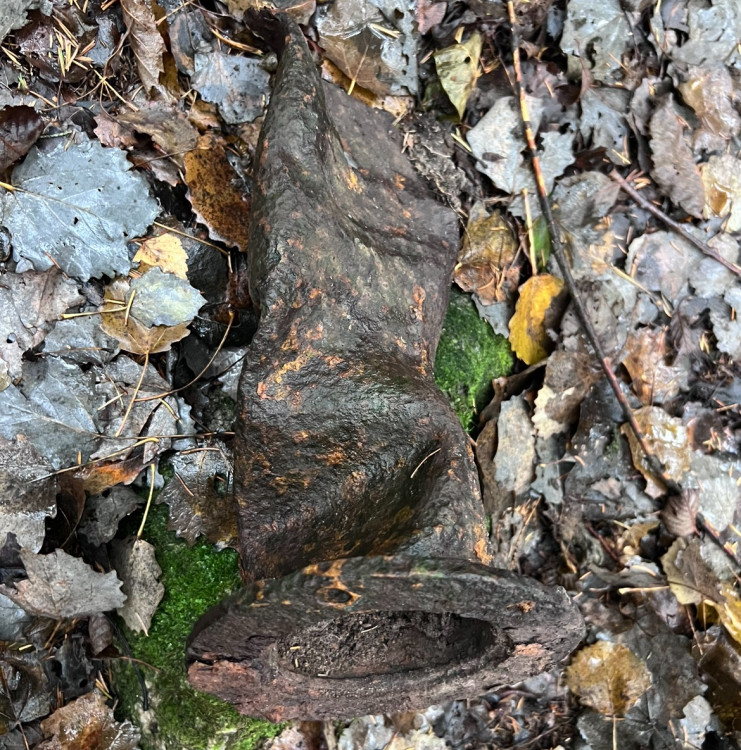 IMG_1083.jpeg