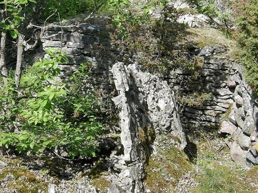suur-pakri4.JPG