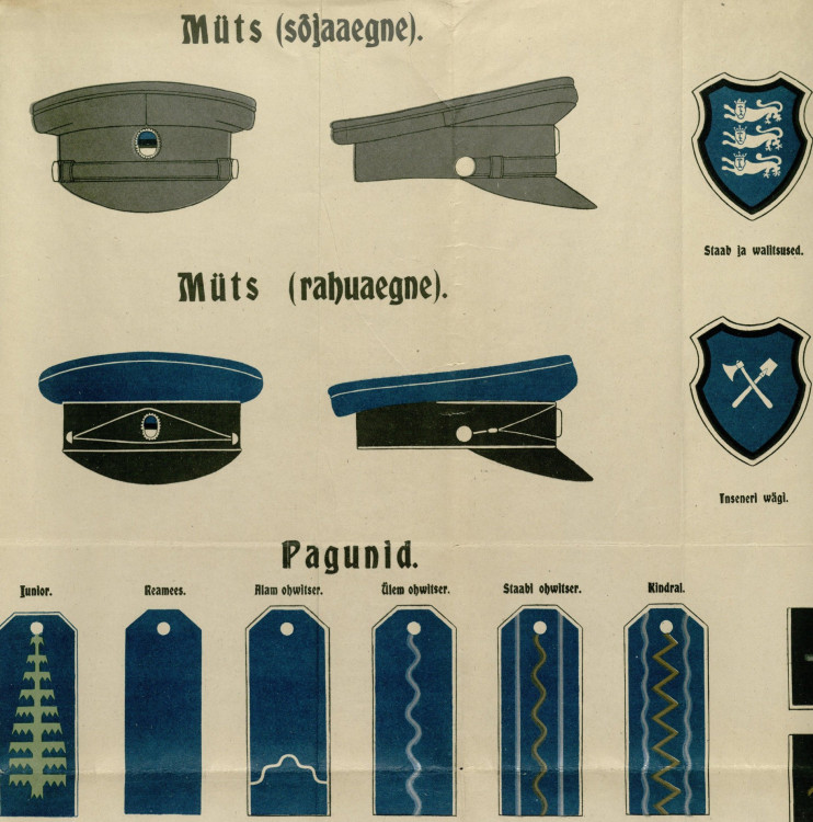 info_2.JPG