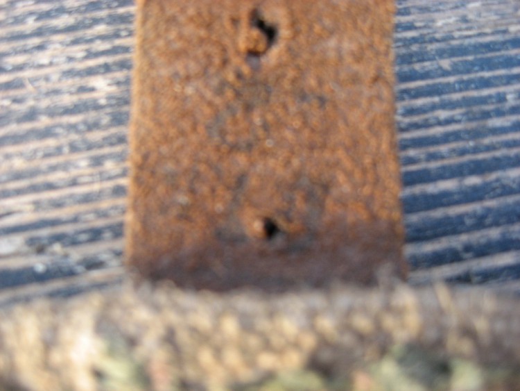 lambindus 008.jpg