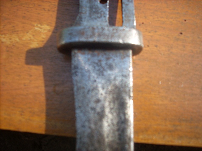 DSCN8153.JPG