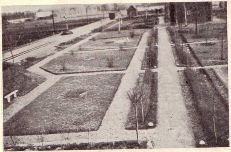 Järve2.jpg