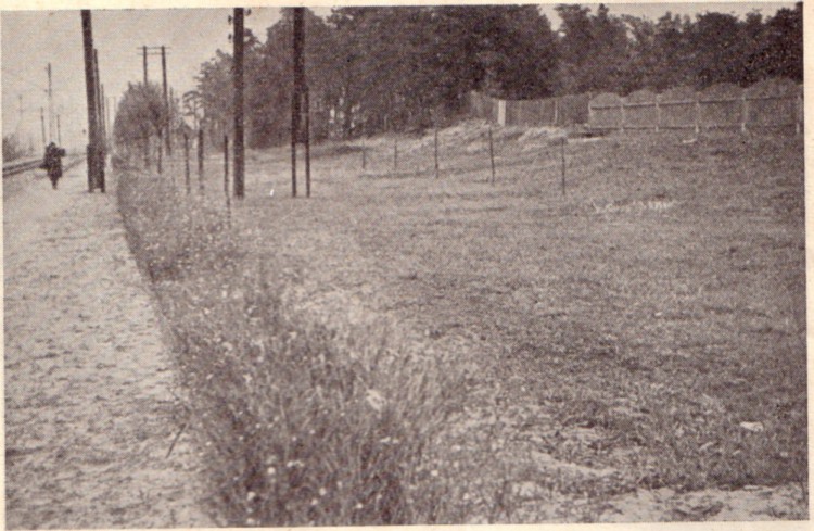 järveb2.jpg