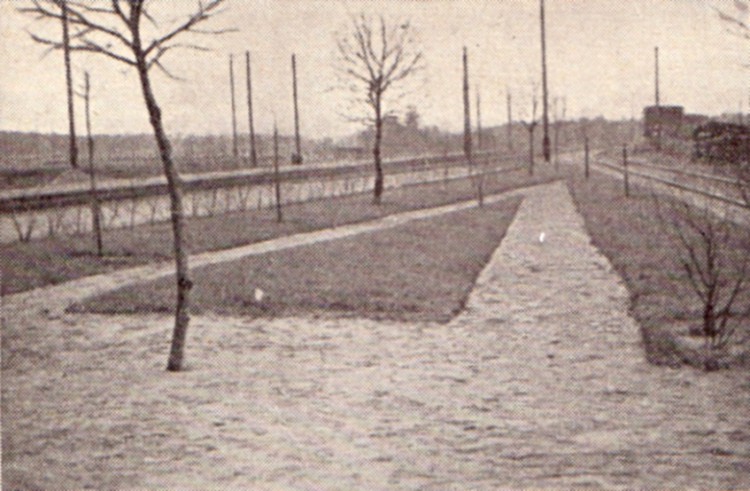 järve3b.jpg