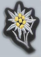 edelweiss.jpg
