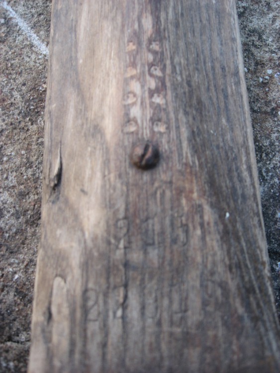 november 2011 010.jpg