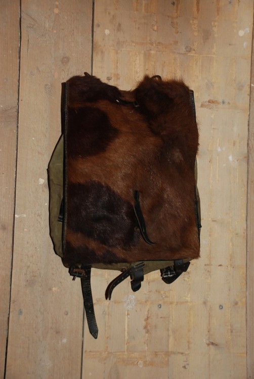 DSC_0009.JPG