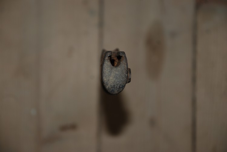 DSC_0098.JPG