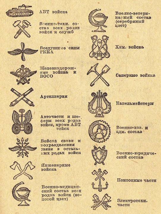 36 a lõkme tunnused.jpg