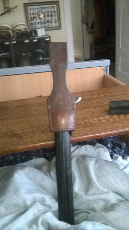 WP_20220430_013.jpg