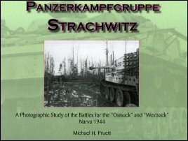 fed-panzerkampfgruppe-strachwitz.jpg